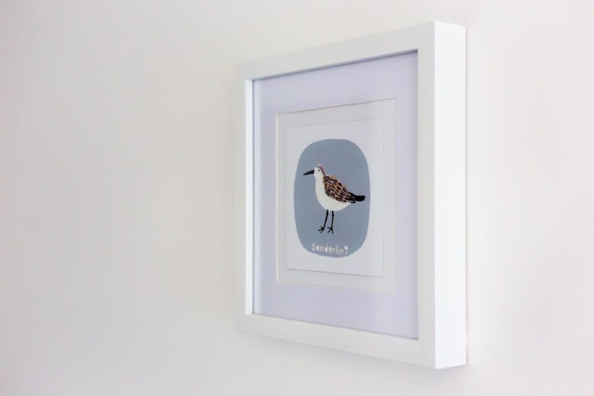 Sanderling *